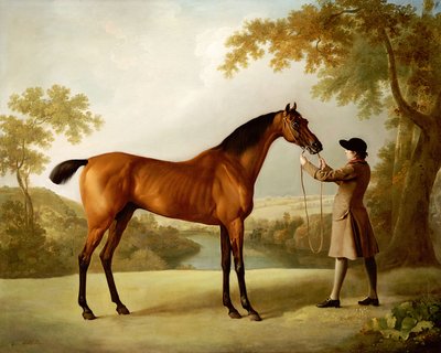 Tristram Shandy, egy öbölbeli versenyló, akit egy vőlegény tart egy kiterjedt tájon, 1760 körül alkotó: George Stubbs