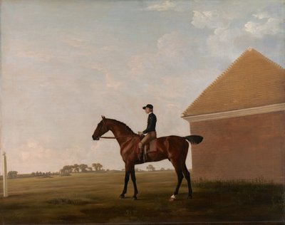Turf, Jockey felfelé, Newmarketben, kb. 1766. alkotó: George Stubbs