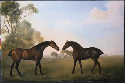 Két Hunter kint Grassben alkotó: George Stubbs