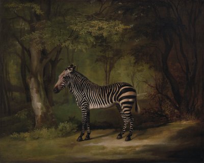 Zebra alkotó: George Stubbs