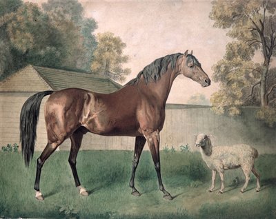"Dungannon" (akvarell papíron) alkotó: George Townley Stubbs