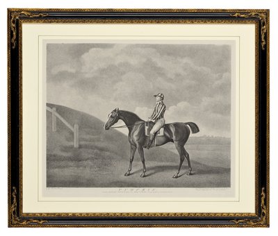 Sütőtök (stipple gravírozás) alkotó: George Townley Stubbs
