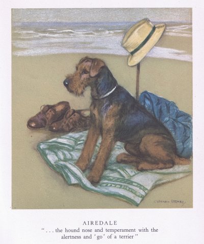 Airedale (színes litográfia) alkotó: George Vernon Stokes