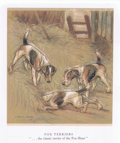 Foxterrierek (színes litográfia) alkotó: George Vernon Stokes