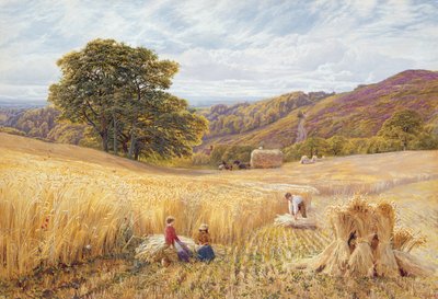 Betakarítási idő a Holmbury Hill közelében, Surrey, 1865 (wc és testszín papíron) alkotó: George Vicat Cole