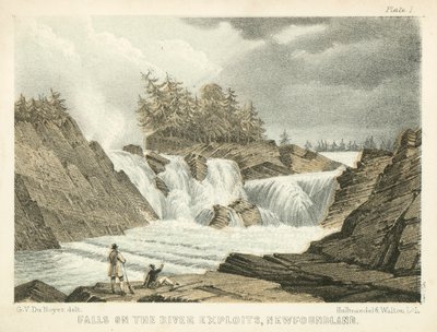 Vízesés az Exploits folyón, Új-Fundland (színes metszet) alkotó: George Victor Du Noyer