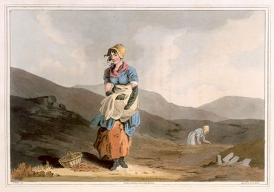 Az áfonyás lány, idősebb Robert Havell metszetét, 1814-ben adta ki Robinson és fia, Leeds alkotó: George Walker