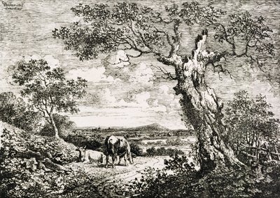 Két tehén egy mezőn alkotó: George Walker