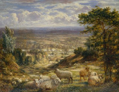 Nyári táj juhokkal alkotó: George William Mote