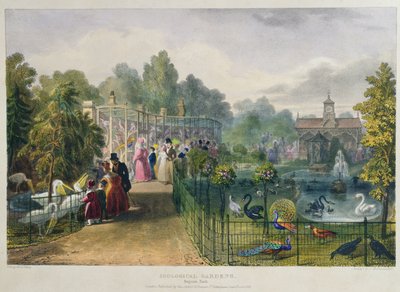 A madárház az állatkertben, a Regents park, vésett és kocsma. a művész, nyomtatta Charles Hullmandel (1789-1850), 1836 alkotó: George the Elder Scharf
