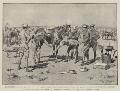 Baden-Powell ezredessel Mafekingben, a beteg lovak vonalainak ellenőrzésénél. alkotó: Georges Bertin Scott
