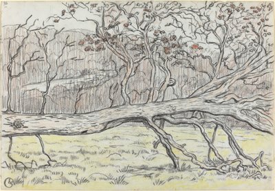 Kivágott fa, Normandia alkotó: Georges Lacombe