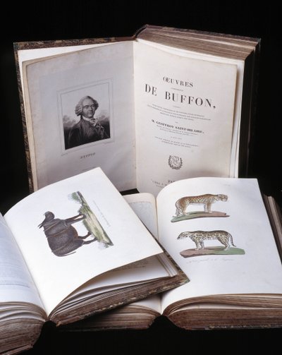 Stillleben der „Gesammelten Werke von Buffon“ von Naturforscher Georges Louis Leclerc, Graf von Buffon (1707-1788). Gravur von 1837. von Georges Louis Leclerc