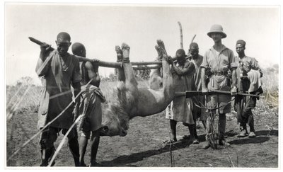 Oroszlán Bahr el Ghazalban, Am Dafok, 1925 (zselatin ezüst nyomat) alkotó: Georges-Marie Haardt