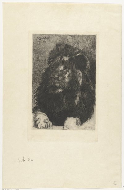Oroszlán feje alkotó: Gerard Jan Bos