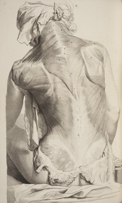 Govard Bidloo: Az emberi test anatómiája, 1685 alkotó: Gerard de Lairesse