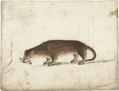 Vidra hallal a szájában alkotó: Gerard ter Borch (I)