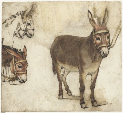 Tanulmányi lap szamarakkal alkotó: Gerard ter Borch (I)