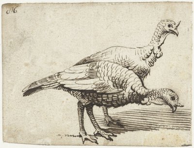 Két pulyka alkotó: Gerard ter Borch (I)