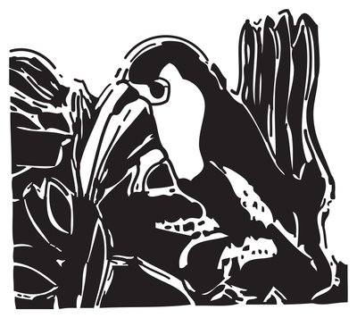 Toucan alkotó: Gerhardt Isringhaus