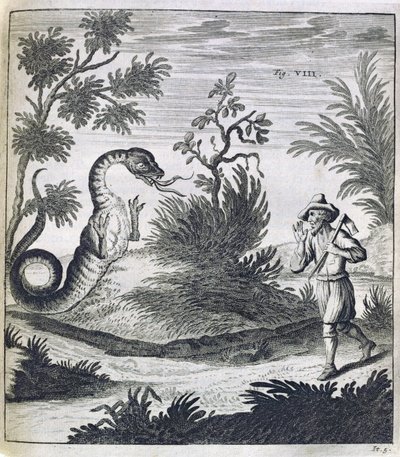 Egy félelmetes sárkány, 1660 körül alkotó: German School