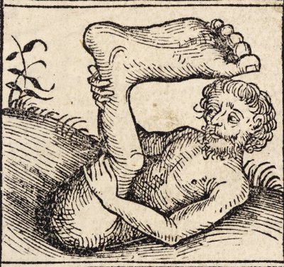 Egy sciopod, Férfi dagadt lábbal, a "Registrum Hujus Operis Libri Cronicarum cum Figuri et Imagibus ab Inicio Mundi"-ból, Hartmann Schedel (1440-1515) Nürnbergben jelent meg alkotó: German School