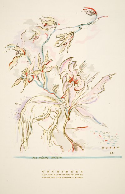 Reklám "Orchideen aus dem Hause Hermann Roth" a Styl, pub.1922-ből (pochoir print) alkotó: German School