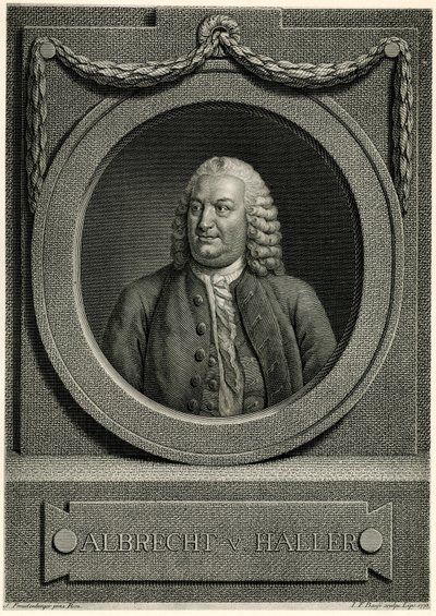 Albert von Haller alkotó: German School