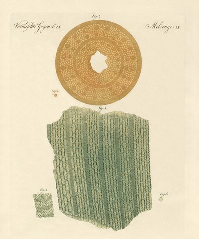 Egy szívószál anatómiája alkotó: German School