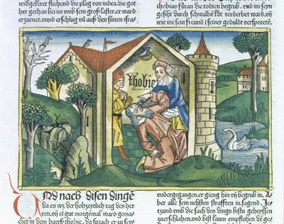 Apokrif: Tobit megvakítja a verebek ürüléke, a nürnbergi Bibliából (Biblia Sacra Germanaica) (színes fametszet) alkotó: German School