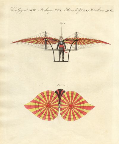Degen repülő gépe (színes gravírozás) alkotó: German School