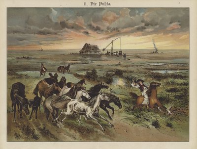 Die Pukta (színes litó) alkotó: German School