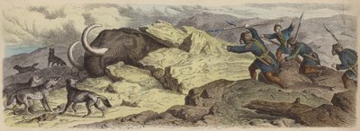Gyapjas mamut testének felfedezése Szibériában (színes metszet) alkotó: German School