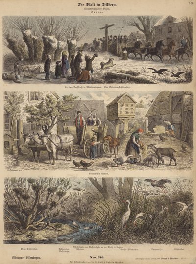 Európa (színes metszet) alkotó: German School
