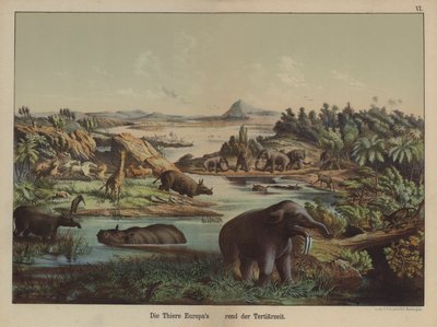 A harmadidőszak európai állatai (színes litho) alkotó: German School