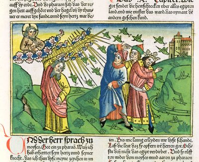 2Móz 10:1-20 Egyiptom hét csapása: a sáskák csapása, a Nürnbergi Bibliából (Biblia Sacra Germanaica) (színes fametszet) alkotó: German School