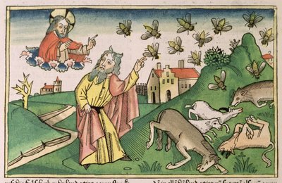 2Móz 8 20-32 Egyiptom hét csapása: Mózes és a legyek raj a „Nürnbergi Bibliából (Biblia Sacra Germanaica)” (színes fametszet) alkotó: German School