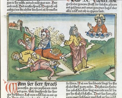 2Móz 9 8-12 Egyiptom hét csapása: Mózes és a kelések csapása, a Nürnbergi Bibliából (Biblia Sacra Germanaica) (színes fametszet) alkotó: German School