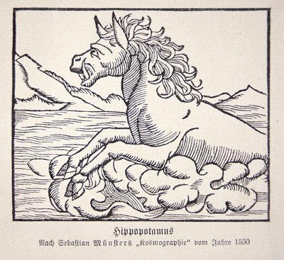 Víziló Sebastien Munster Cosmographie Universalis című művéből alkotó: German School