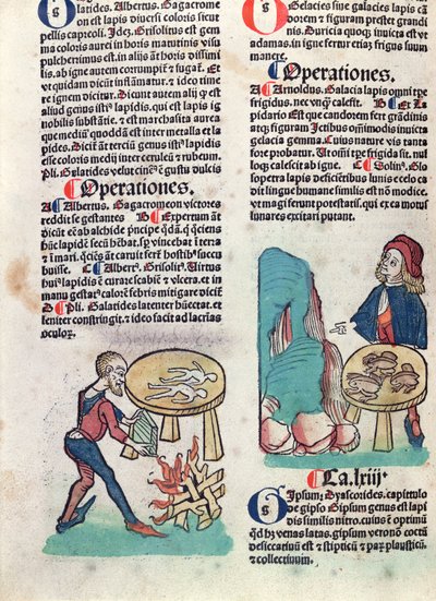 Illusztrált oldal a Hortus Sanitatisból, 1491 (színes fametszet) alkotó: German School