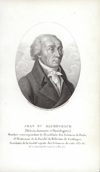 Johann Friedrich Blumenbach alkotó: German School