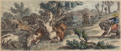 Vadlovak lasszózása Új-Mexikóban (színes metszet) alkotó: German School