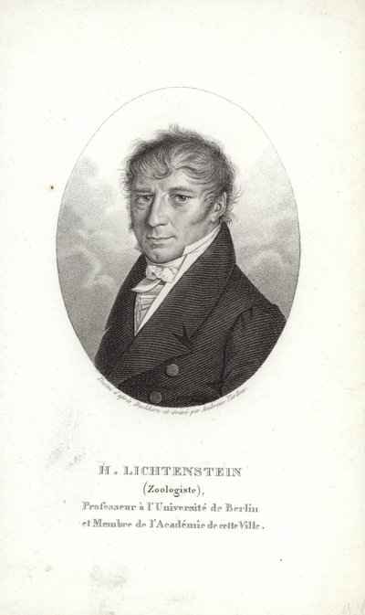 Lichtenstein Márton alkotó: German School