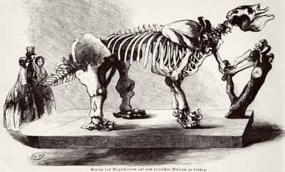 Megatherium csontváz a British Múzeumban alkotó: German School