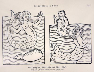 Sellő és sellő Jacob Meydenbach Hortus Sanitatis című művéből alkotó: German School