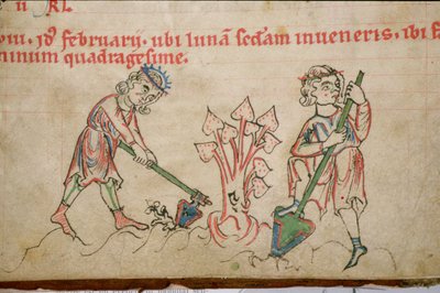 Ms 54 f.37 február: Ciszterci zsoltár (pergamen). alkotó: German School