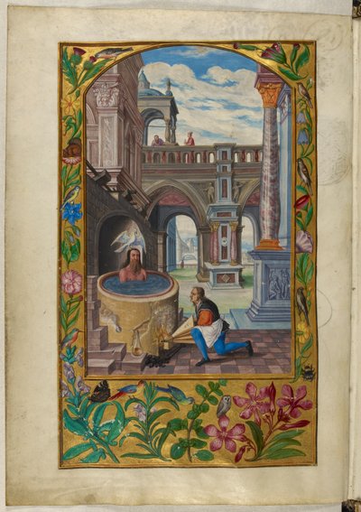 Ms Harley 3469, f.21v Udvaron fürdő férfi, a hetedik példázat, Salomon Trismosin „Splendor Solis”-jából alkotó: German School