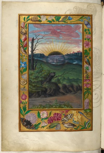 Ms Harley 3469, f.30v A sötét nap, az ötödik traktátus, Salomon Trismosin „Splendor Solis” című művéből alkotó: German School