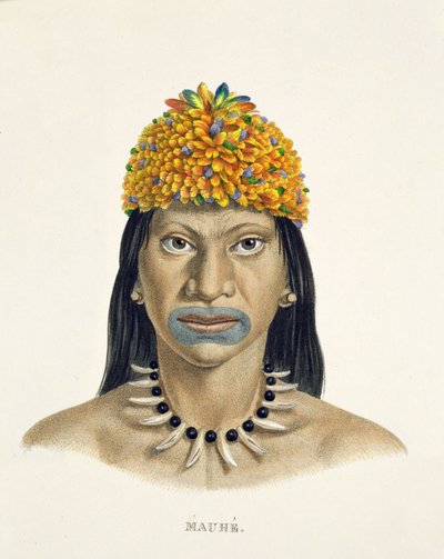 A Mauhe törzs bennszülött embere, kis kék és narancssárga tollú fejdíszben, Johann Baptist von Spix (1781-1826) és Karl Friedrich Philipp Martius (1794-1868) Egy brazil utazás atlaszából alkotó: German School