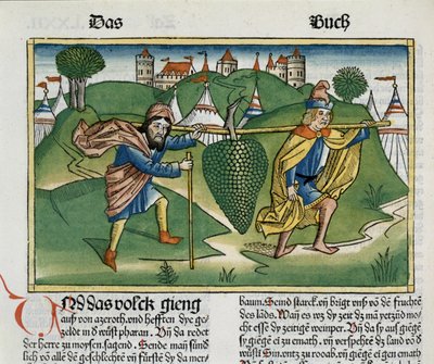 13. szám 23 Eshcol szőlője, a Nürnbergi Bibliából (Biblia Sacra Germanica) (színes fametszet) alkotó: German School